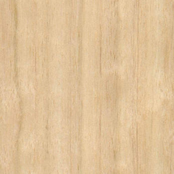 Imagem para o número da escolha 2